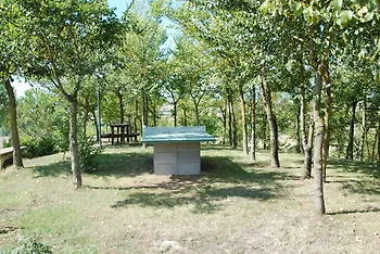 Podere Vesta Asciano Apartment