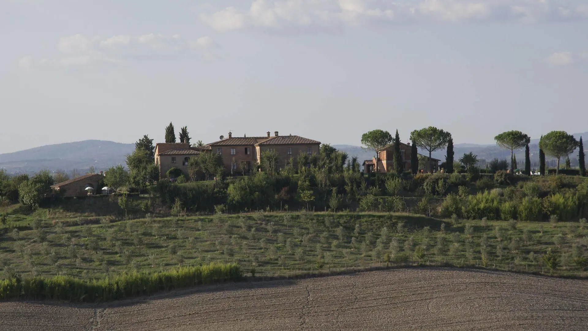 Apartment Podere Vesta Asciano